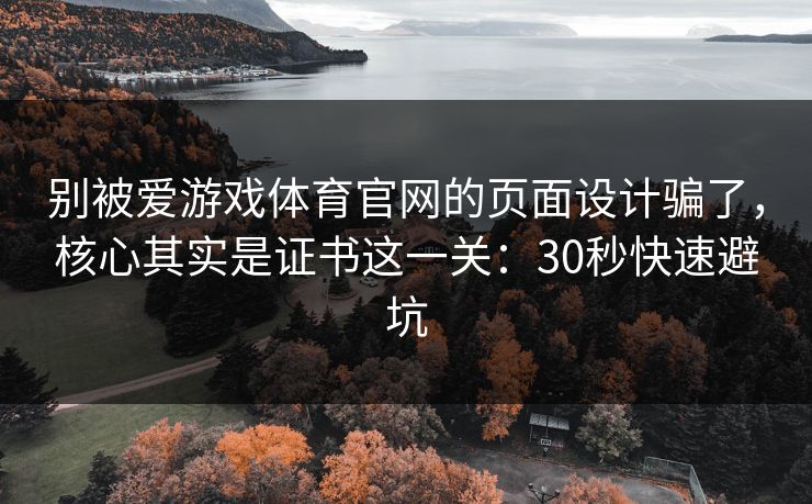 别被爱游戏体育官网的页面设计骗了，核心其实是证书这一关：30秒快速避坑