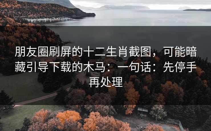 朋友圈刷屏的十二生肖截图，可能暗藏引导下载的木马：一句话：先停手再处理